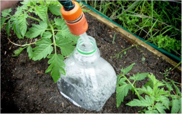 #3. Bottle Drip Irrigation (Hydration technique for arid climate) - 12 DIY Garden Hacks to Take Your Backyard to the Next Level