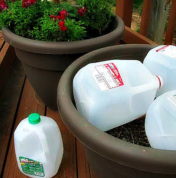 #5. Use milk jugs in large planters to save potting soil - 12 DIY Garden Hacks to Take Your Backyard to the Next Level