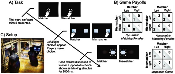 tHE simple game of mismatch and matching (Inspection Game) used to experiment the cognitive skills of Chimps against Humans
