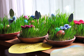 Make Easter Grass