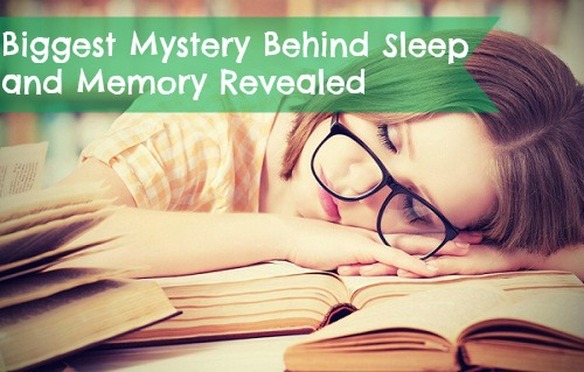 The mechanism by which sleep improves learning and memory has been discovered by scientists.