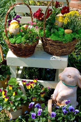Grow a Spring or Easter Basket