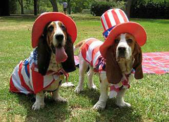 dog's day out on 4th of July