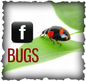 Facebook thumbnail bugs