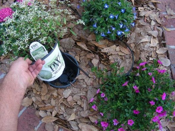 #1. Grow Plants Outdoors with the Pot-in-Pot Method - 12 DIY Garden Hacks to Take Your Backyard to the Next Level